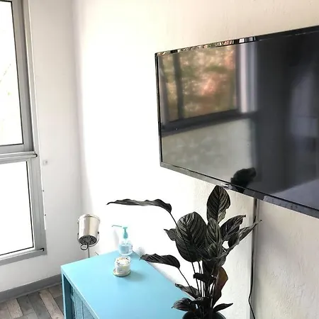 Apartment Beau Avec Piscine Cannes